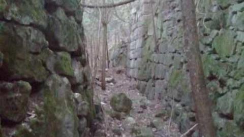 Hoffman Kiln Ruins - Hoffman-Lime-Kiln-Ruins41.jpg