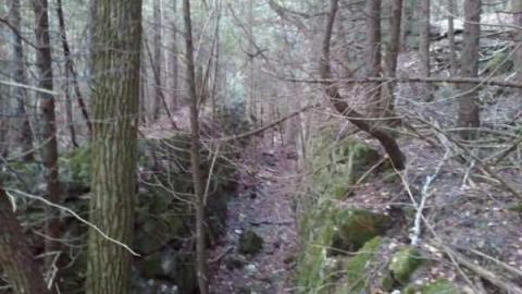 Hoffman Kiln Ruins - Hoffman-Lime-Kiln-Ruins29.jpg