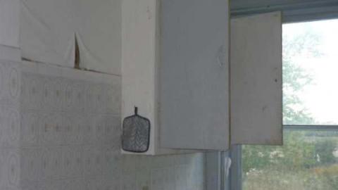 Abandoned just outseid of lamb - Lambeth-Country-Home160.jpg