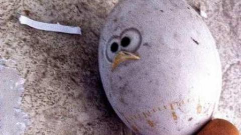 Graffiti House - Bathurst-Bungalow23.jpg