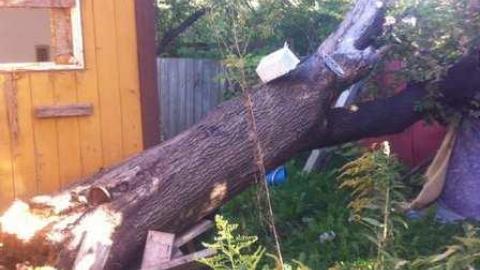 Graffiti House - Bathurst-Bungalow24.jpg