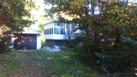 Hard To Breathe - Elvis-on-Lowther48.jpg