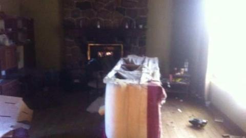 Crazy Cat House - Madison-Ave.-cat-house6.jpg