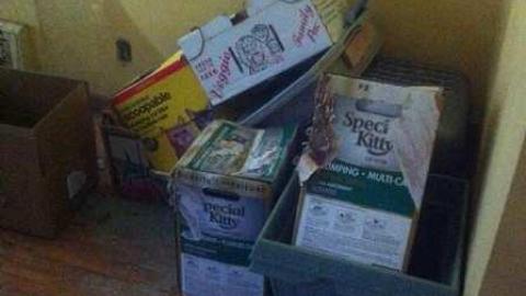 Crazy Cat House - Madison-Ave.-cat-house3.jpg