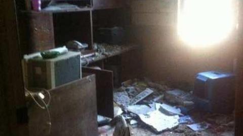 Crazy Cat House - Madison-Ave.-cat-house8.jpg