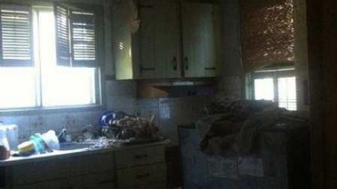 Crazy Cat House - Madison-Ave.-cat-house4.jpg