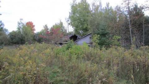 Bad Shape - IMG_0606.jpg