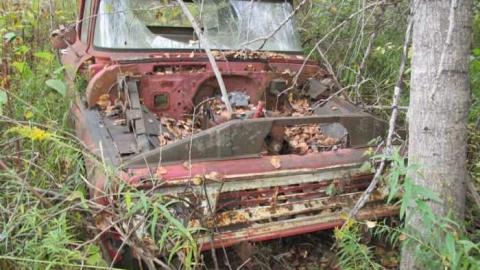 Bad Shape - IMG_0610.jpg