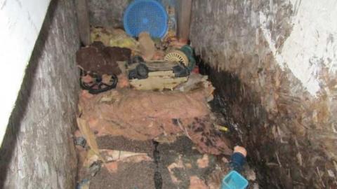 Bad Shape - IMG_0614.jpg