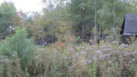 Bad Shape - IMG_0618.jpg