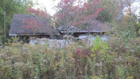 Photo from Bad Shape