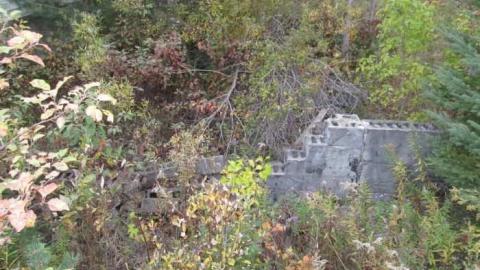 Bad Shape - IMG_0621.jpg