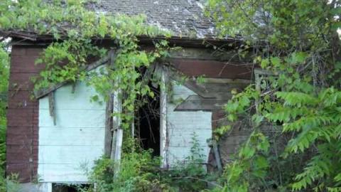 Photo from Abandoned Booker Rd. 2011