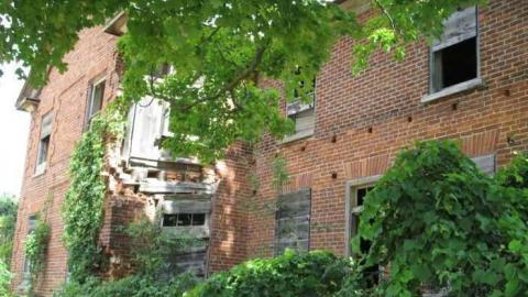 Middle Of Summer - IMG_0107.jpg