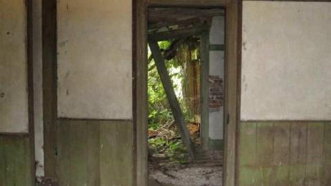 Middle Of Summer - IMG_0108.jpg