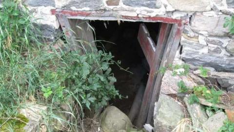 Middle Of Summer - IMG_0110.jpg