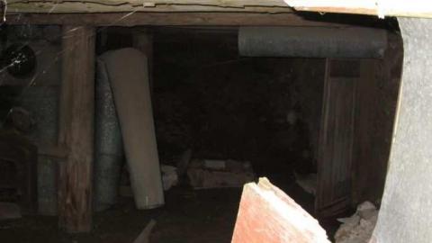 Middle Of Summer - IMG_0111.jpg