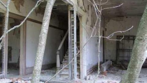 Middle Of Summer - IMG_0113.jpg