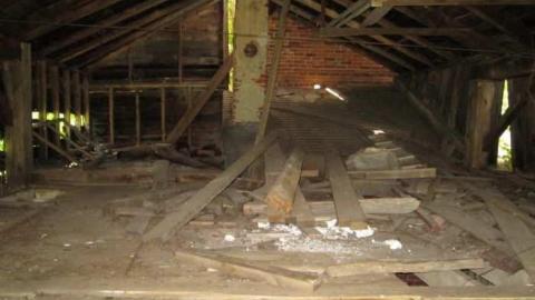 Middle Of Summer - IMG_0115.jpg