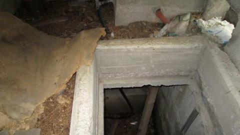 Middle Of Summer - IMG_0117.jpg