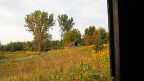 Photo from Lookin Back