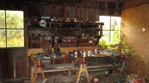 Lookin Back - IMG_0469.jpg