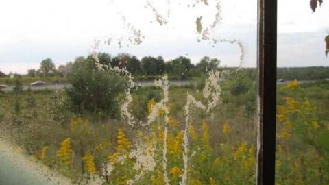 Photo from Lookin Back