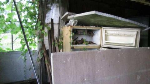 Photo from Lookin Back