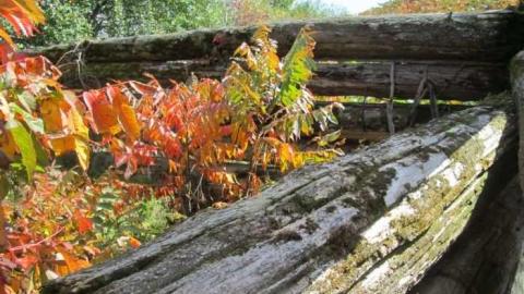 Such Grander - Log-Cabin-and-Barns1.jpg