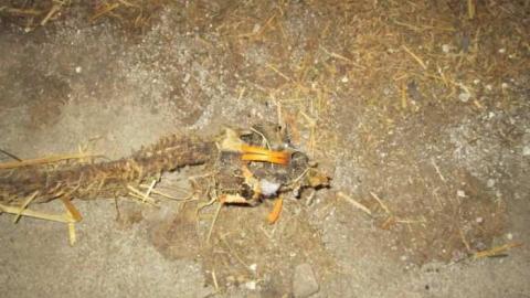 Photo from Such Grander