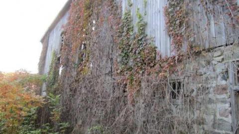 Such Grander - Log-Cabin-and-Barns6.jpg