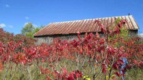 Such Grander - Log-Cabin-and-Barns7.jpg