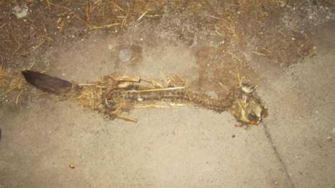 Such Grander - Log-Cabin-and-Barns88.jpg