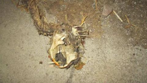 Such Grander - Log-Cabin-and-Barns12.jpg