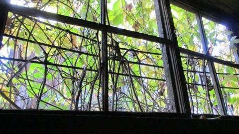 Such Grander - Log-Cabin-and-Barns13.jpg