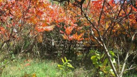 Photo from Such Grander