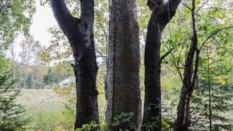 Fall 2012 - Donald-(ghost-chemical-plant)228.jpg