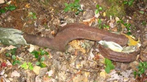 WW2 Plane Crash Sites in Muskoka photo 2