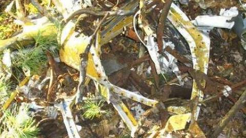 One crash site - WW2-Plane-Crash-Sites-in-Muskoka10.jpg