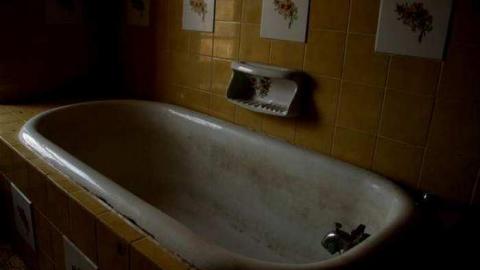 Gallery - IMG_8555.jpg