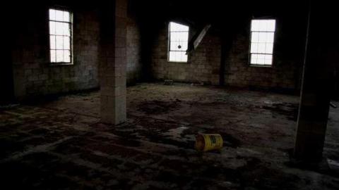 Gallery - IMG_8487.jpg