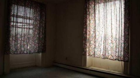 Gallery - IMG_8540.jpg