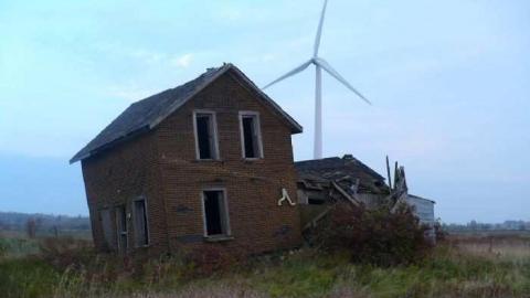 Blown away - P1100074.jpg