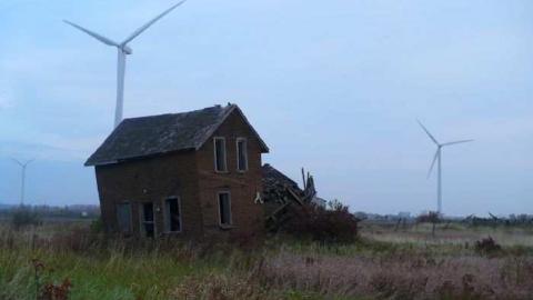 Blown away - P1100073.jpg