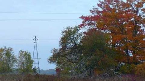 Blown away - P1100079.jpg