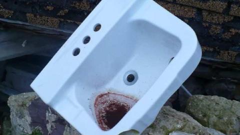 Blown away - P1100080.jpg