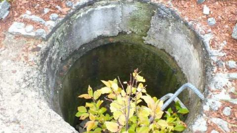 Wind Up House photo 5