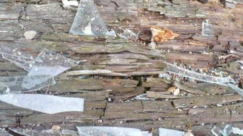 Blown away - P1100084.jpg