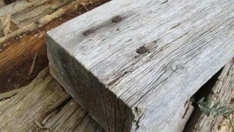 Still Some Life Left - Land-Diver38.jpg