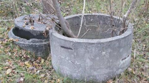 Land Diver - Springwater, Ontario